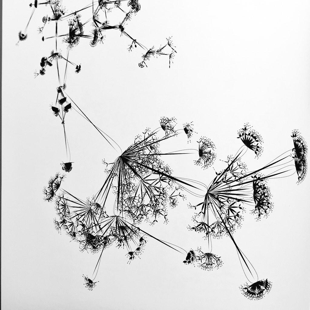 maccymacx's tweet image. O.Laruelle &quot;Invisible Commitments&quot; stunning visualisation depicting folders &amp;amp; code used by developers. #BookOfTrees