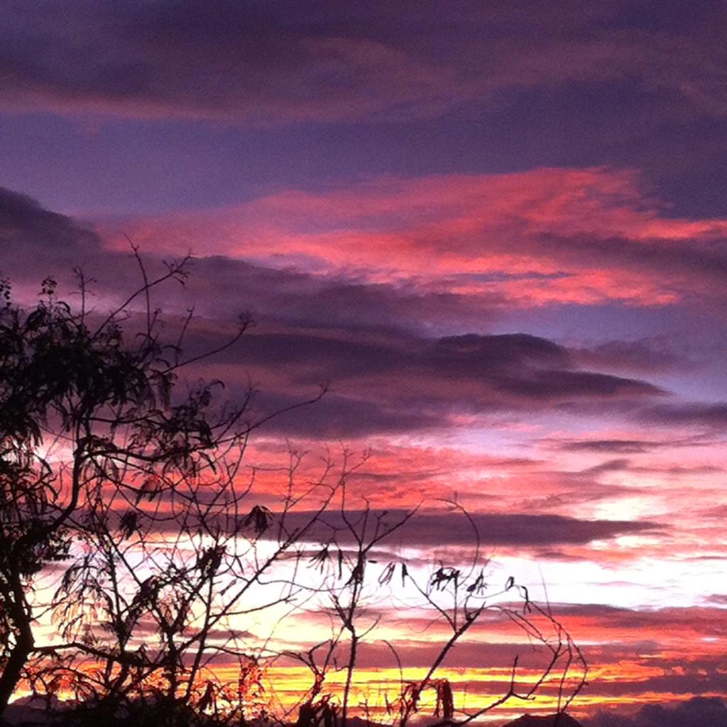 its not him tweet media