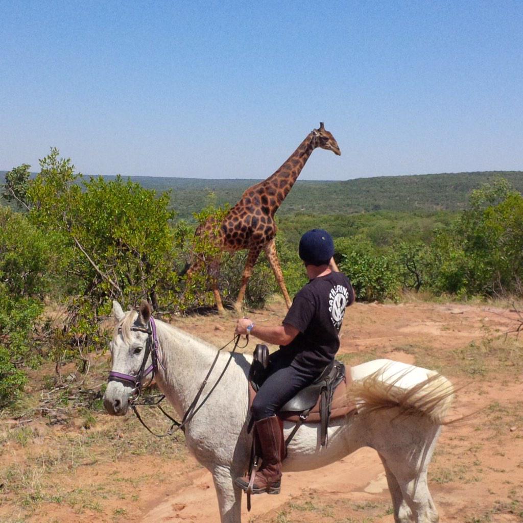 LilySplitty's tweet image. Well that's the holiday booked again for next year .. Horse ridding safari again in South Africa