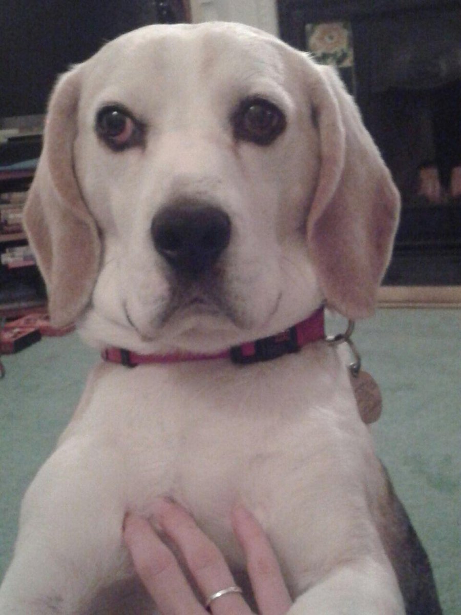 It's 2015 and I don't care that it's January!