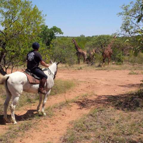 LilySplitty's tweet image. 