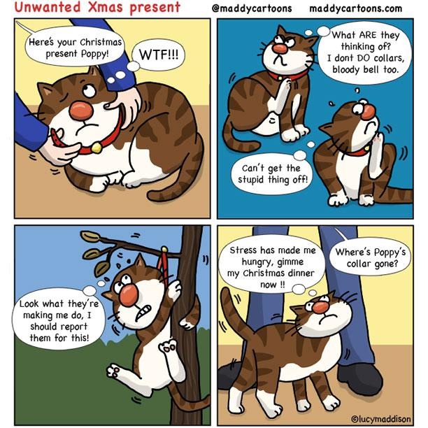 MaddyCartoons's tweet photo. My cat didn't like its present #comics #januaryclearout http://t.co/NVLr6VktOv