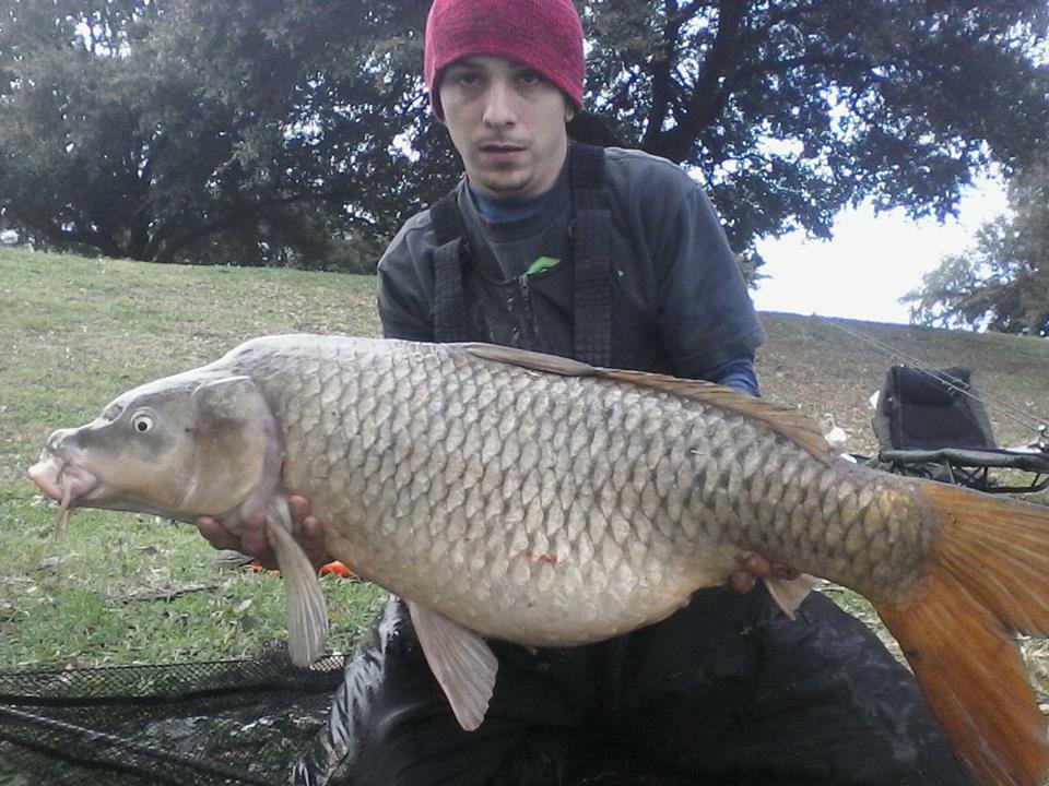 ecorhp's tweet photo. Gotta love Urban Fishing!! #carppro #wccnorthtexas http://t.co/Keoprb5mh0