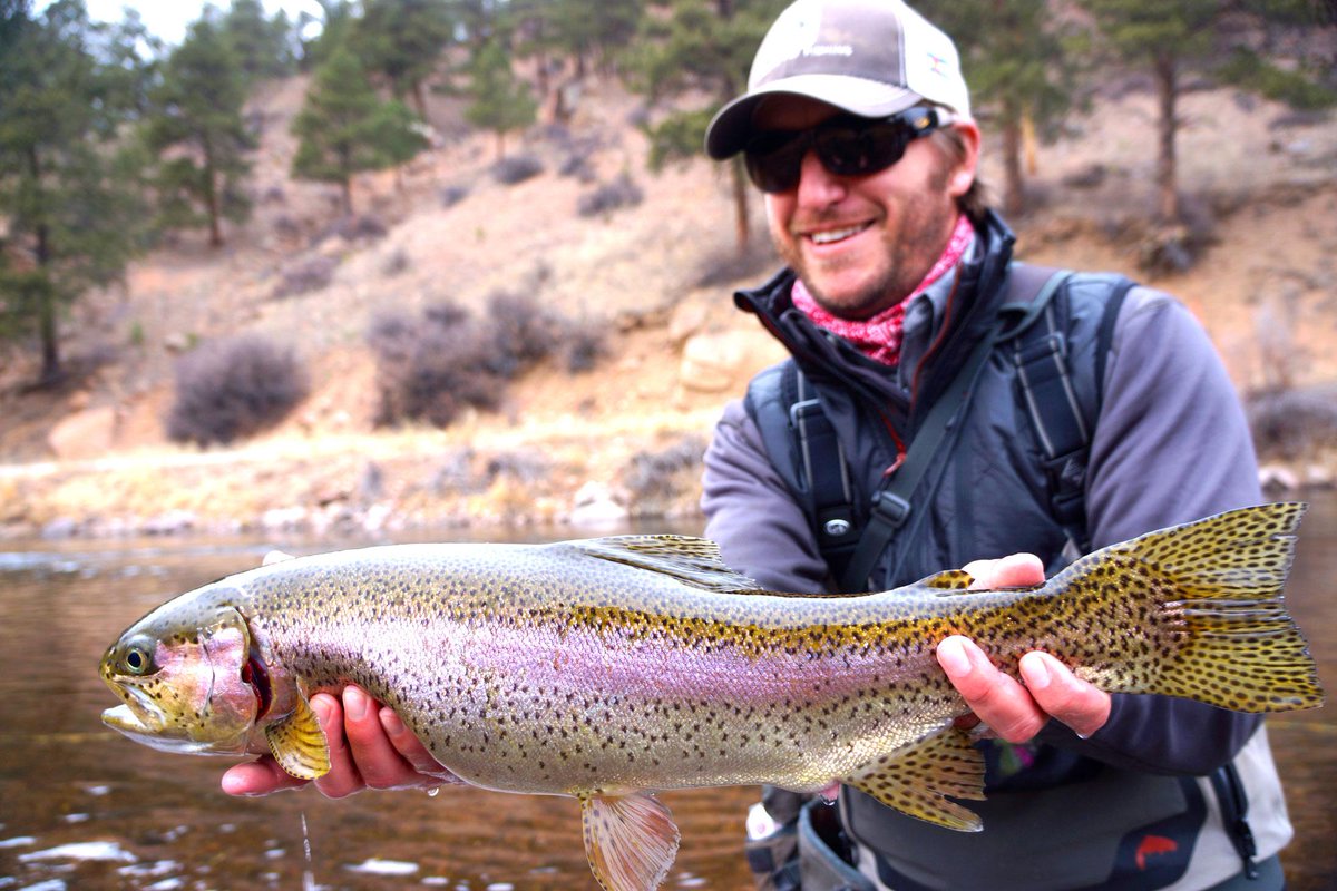 simmsfishing's tweet image. Check out this two footer caught by Kyle Wilkinson of @TroutsInDenver bit.ly/VS2aA6 #simmsfishing