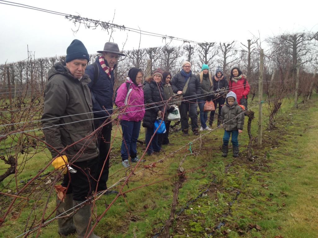 steveylee74's tweet image. #john15 #pruningprocess @matt_rowbotham