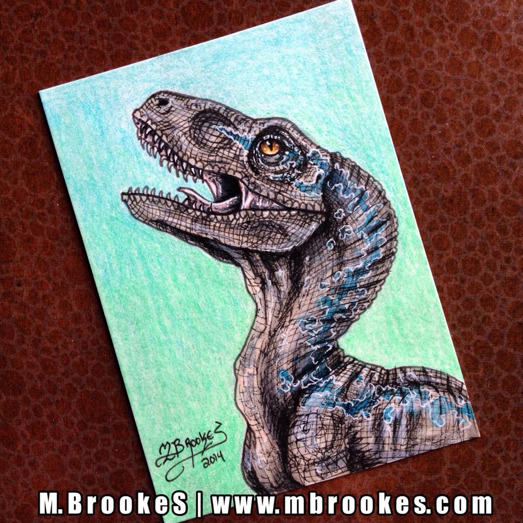 B6nF5OoCEAA-wsB.jpg:large