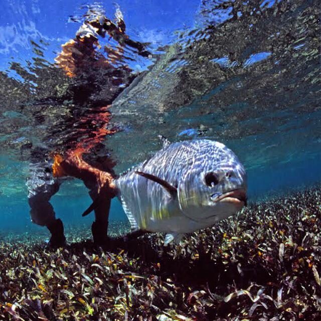 cascadiaguidinc's tweet image. Day1 @CatchMagazine week. Tag a friend who would enjoy a subscription! #flyfishing catchmagazine.net