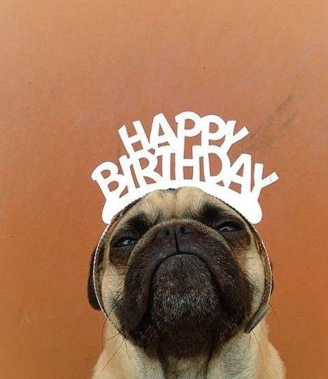  Happy birthday DIANE ! I love you ! 