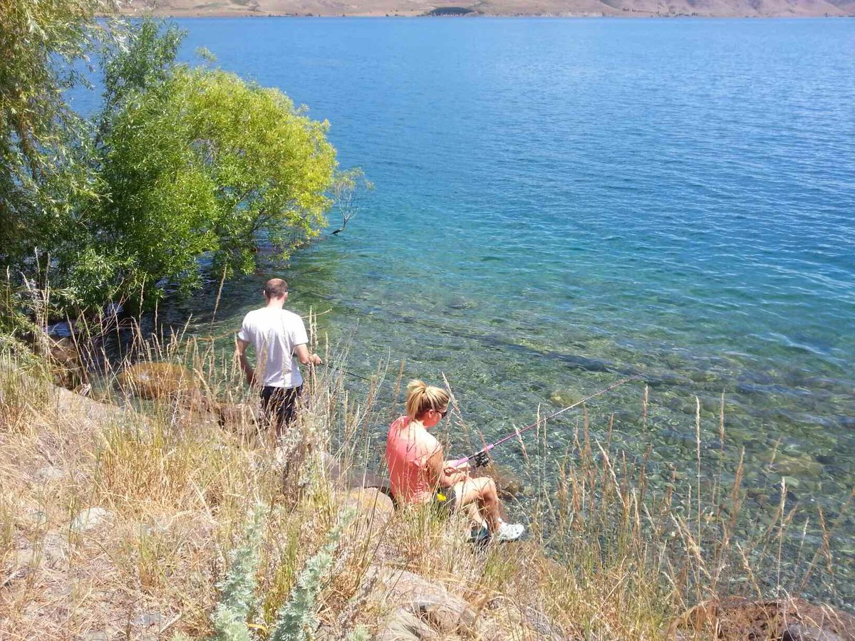 Tourism Waitaki tweet media