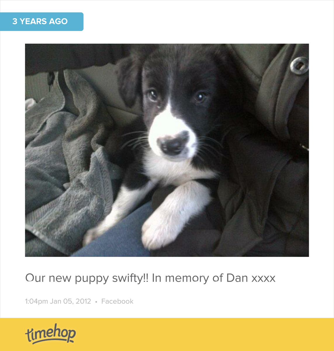 EmilyVincent92's tweet photo. Awww can't believe this was 3 years ago! He was soooo cute! http://t.co/gKlrEzbd3x http://t.co/Nwfu76lSKA