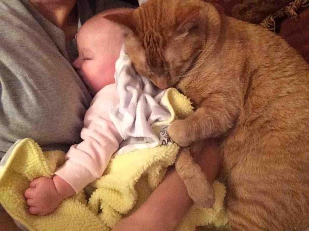 BuzzFeed's tweet photo. 31 pictures that prove 2015 will be the cutest year of all time
http://t.co/MFxER8Sm6E http://t.co/LdnQIZymoF