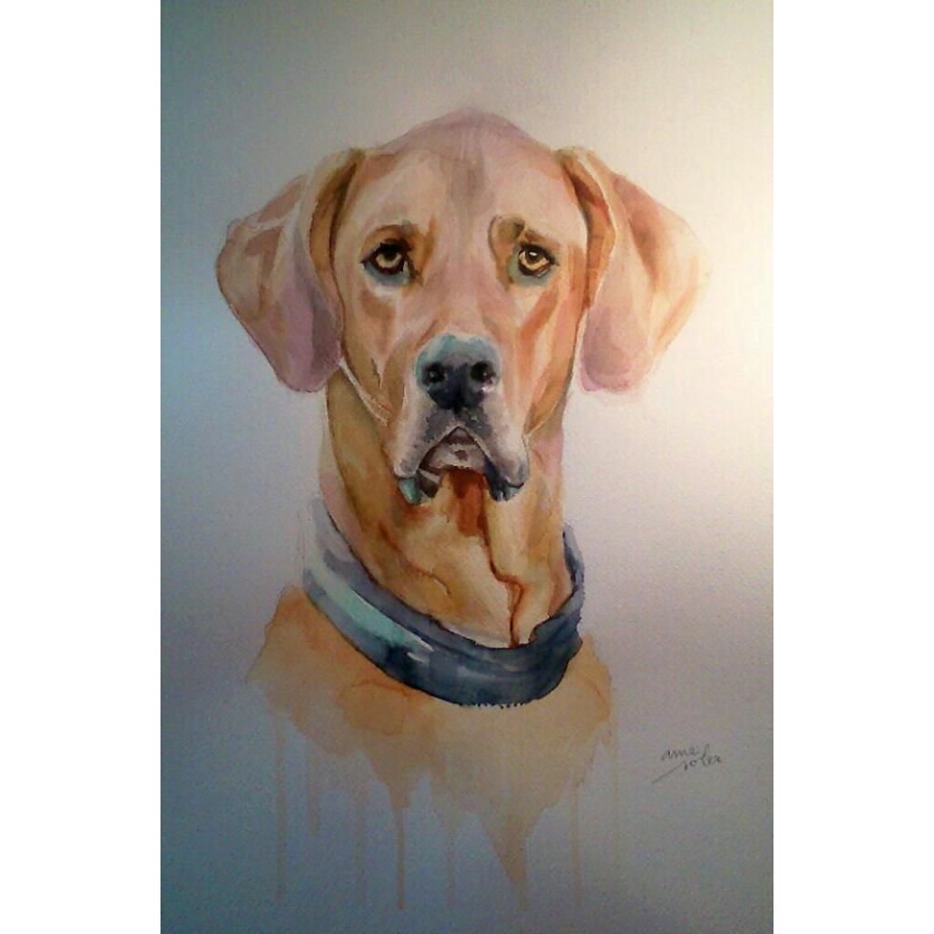Ame Soler Artist tweet media