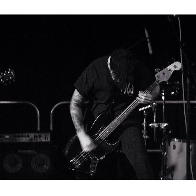 PROVISIONS tweet media