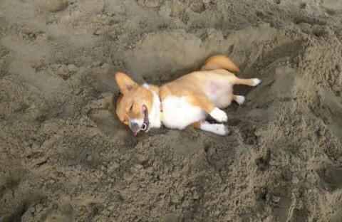 arrotu's tweet photo. eu depois de pensar na minha vida http://t.co/OPizqNzs6y