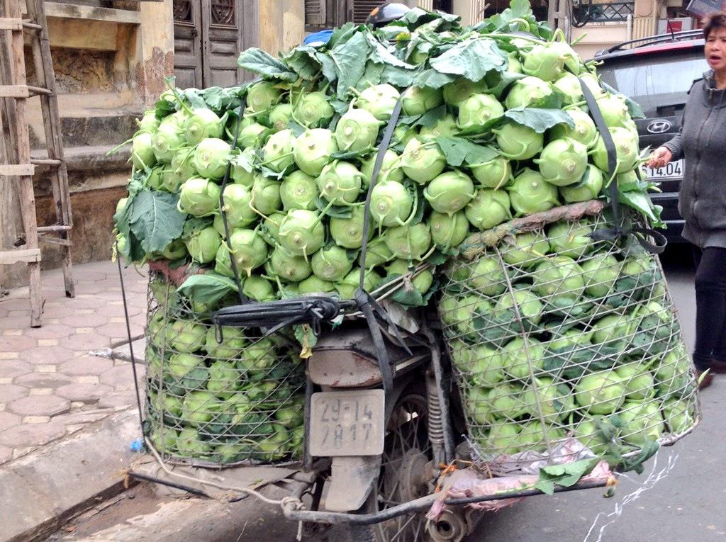 2.30 tday Vegetarian #cookingclass Tofu &amp; rice flour spring rolls, Taro cakes, Bitter gourd filled w/ tofu &amp; more