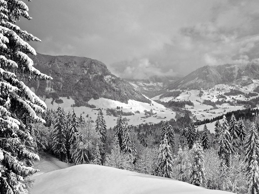 trackpasci's tweet photo. “@adidasoutdoor #openallwinter http://t.co/OutV8pUCGN