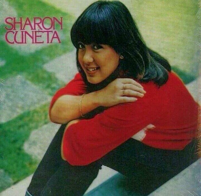 Sideboobs Sharon Cuneta (b. 1966) nude (54 photo) Sideboobs, Twitter, cleavage