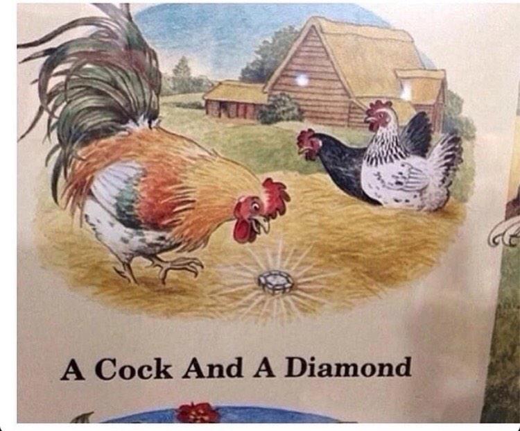 MeninistTweet's tweet image. How to catch a Kardashian