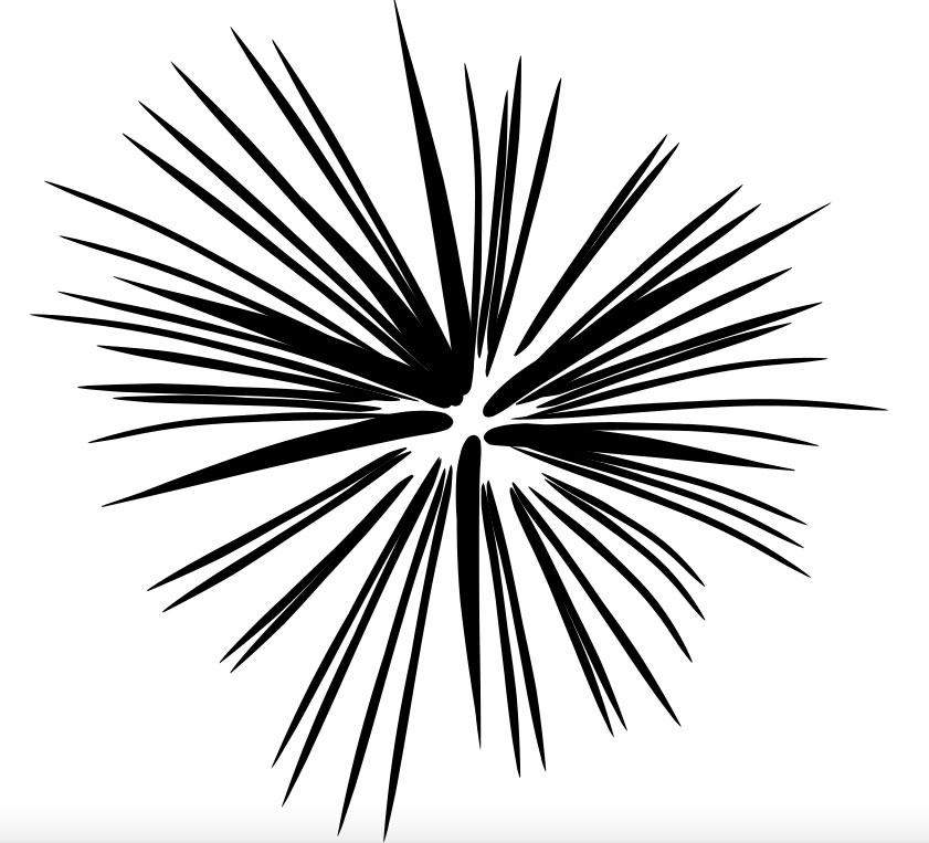 About_Rocks's tweet image. How do you see this? As a sea urchin or a firework... #defineyourday