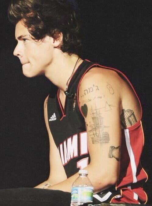 typicalhs_grl's tweet photo. Typical Harry girls will always have a special place for tmh harry on their hearts http://t.co/zHuuzYXlzI
