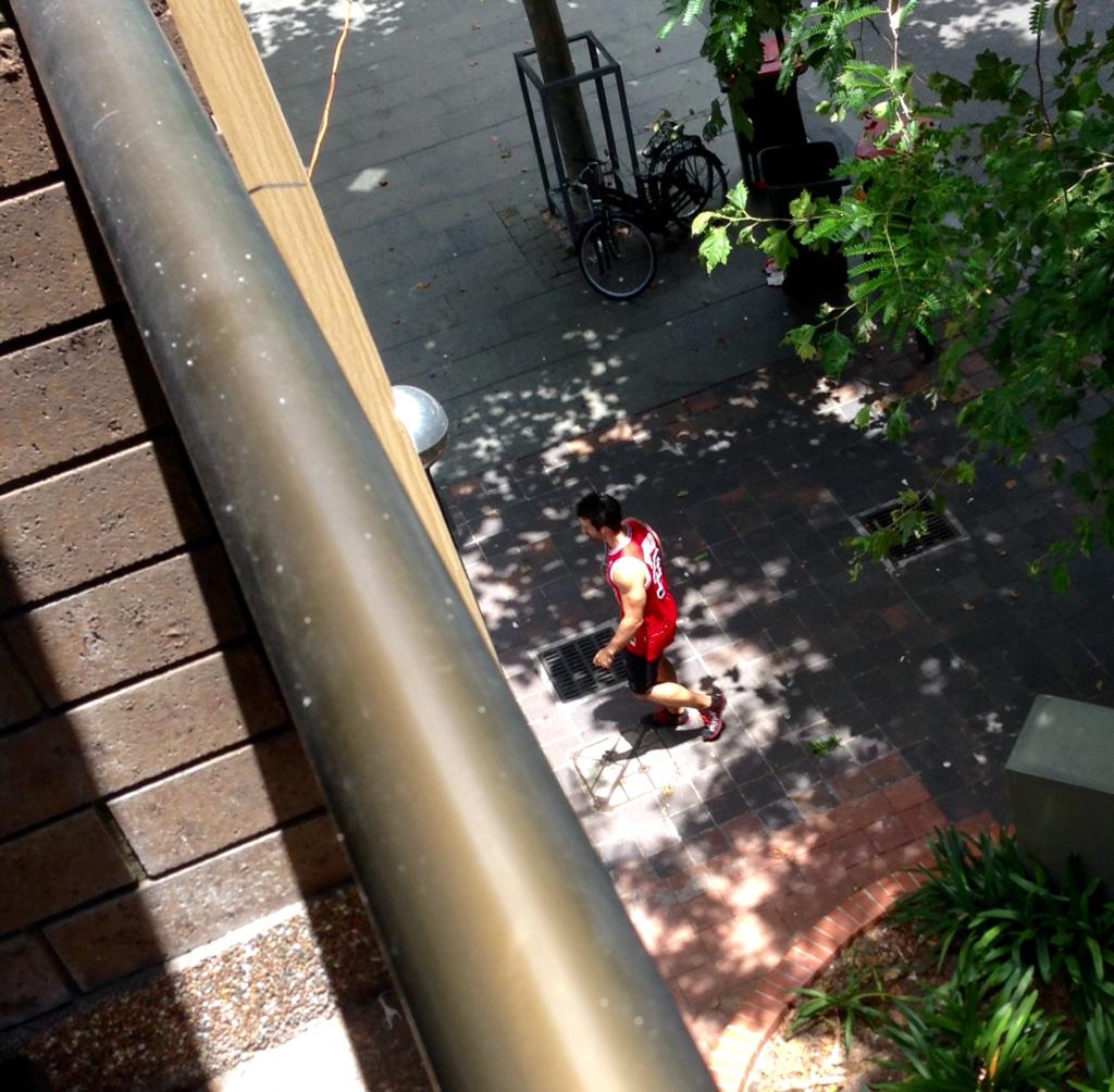 abronstein's tweet photo. Da quando sono qui lo vedo tutti i giorni. Credo di amarlo #Ciaone #AnnabelleGoesToAustralia #StalkerInside http://t.co/GGMeqEDLW1