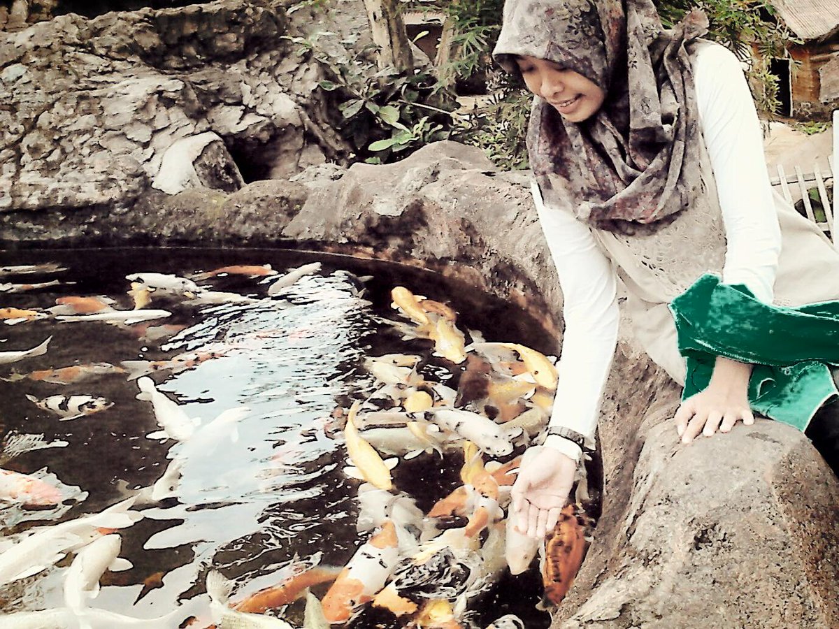 erinurmaa's tweet photo. Suatu hari nanti pengen punya rumah yg ada kolam ikan koi-nya ^^ http://t.co/9VK0ZhehoV