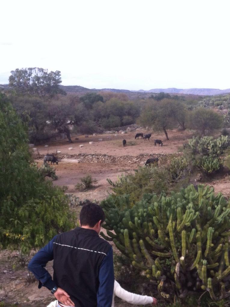 <a href="/andres_allende/">Andres Allende</a> Hoy <a href="/MexicoBravo/">Mexico Bravo</a> descubre una maravilla más del campo mexicano en la ganadería "Pilar Labastida"