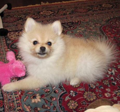 Peter DiFranco (@difrancop) on Twitter photo 