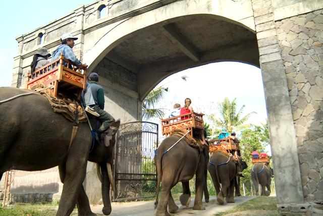 ToursLine's tweet image. Do not miss the opportunity to visit the elephant safaris.
tours-line.com/#!elephant-saf…