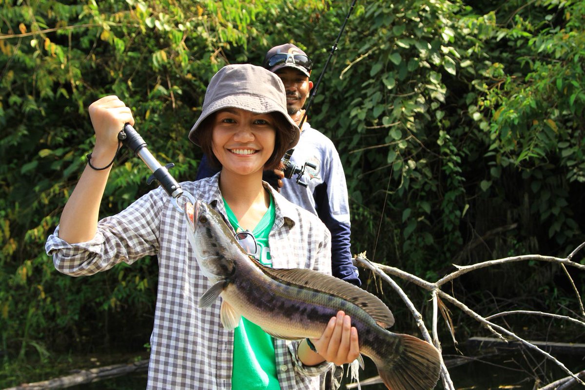 journey_metrotv's tweet photo. ikuti cerita @riamalia mencari ikan predator endemik di Riau dlm "Menjelajah Bendungan, Memburu Toman" nanti 21.05wib http://t.co/Z8NMARa8Yr