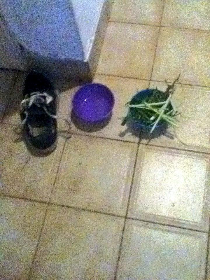carodasque's tweet photo. #melifacts 👏😂😂😂 http://t.co/zTfgQ3357Y