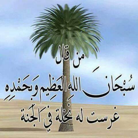 _Obaid_Alameri's tweet image. سبحان الله وبحمده سبحان الله العظيم