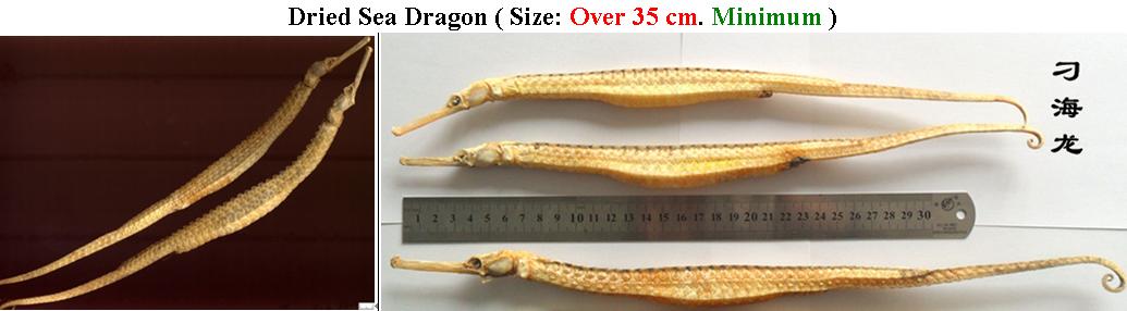 mitautotech's tweet image. Items Wanted  Dried Seahorse / Dried Bloodless Leech / Dried Tokay Gecko / Dried Cattle Gallstone / My FB: Yuan Clint