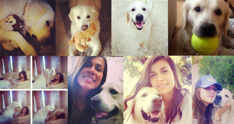 FTHISGR's tweet photo. Νεσχάν Μουλαζίμ: Γλυκές στιγμές με το golden retriever της @Neshanneshan 

http://t.co/uC9d3U5GZm http://t.co/Tr3TkxWh16