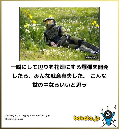 一瞬にして辺りを花畑にする爆弾を開発したら、みんな戦意喪失した