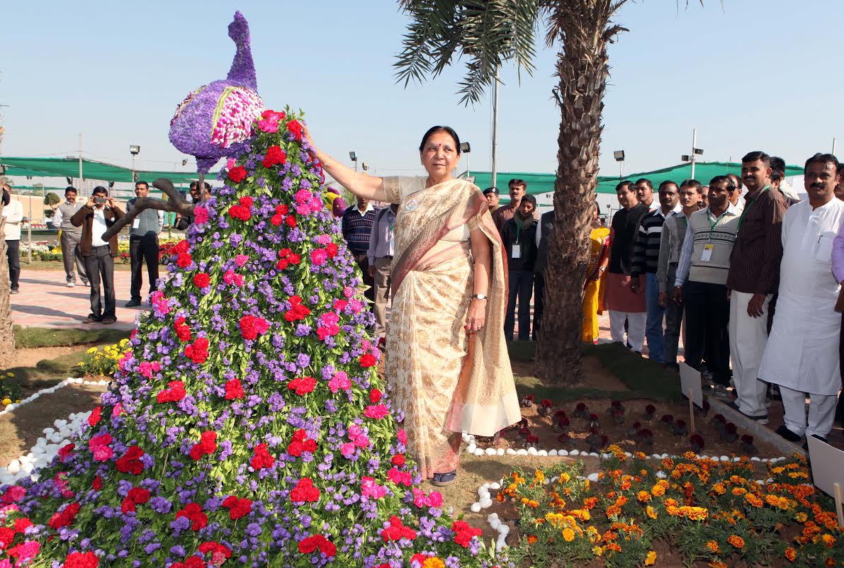 CM opens Flower Show in Ahmedabad (photo) DeshGujarat