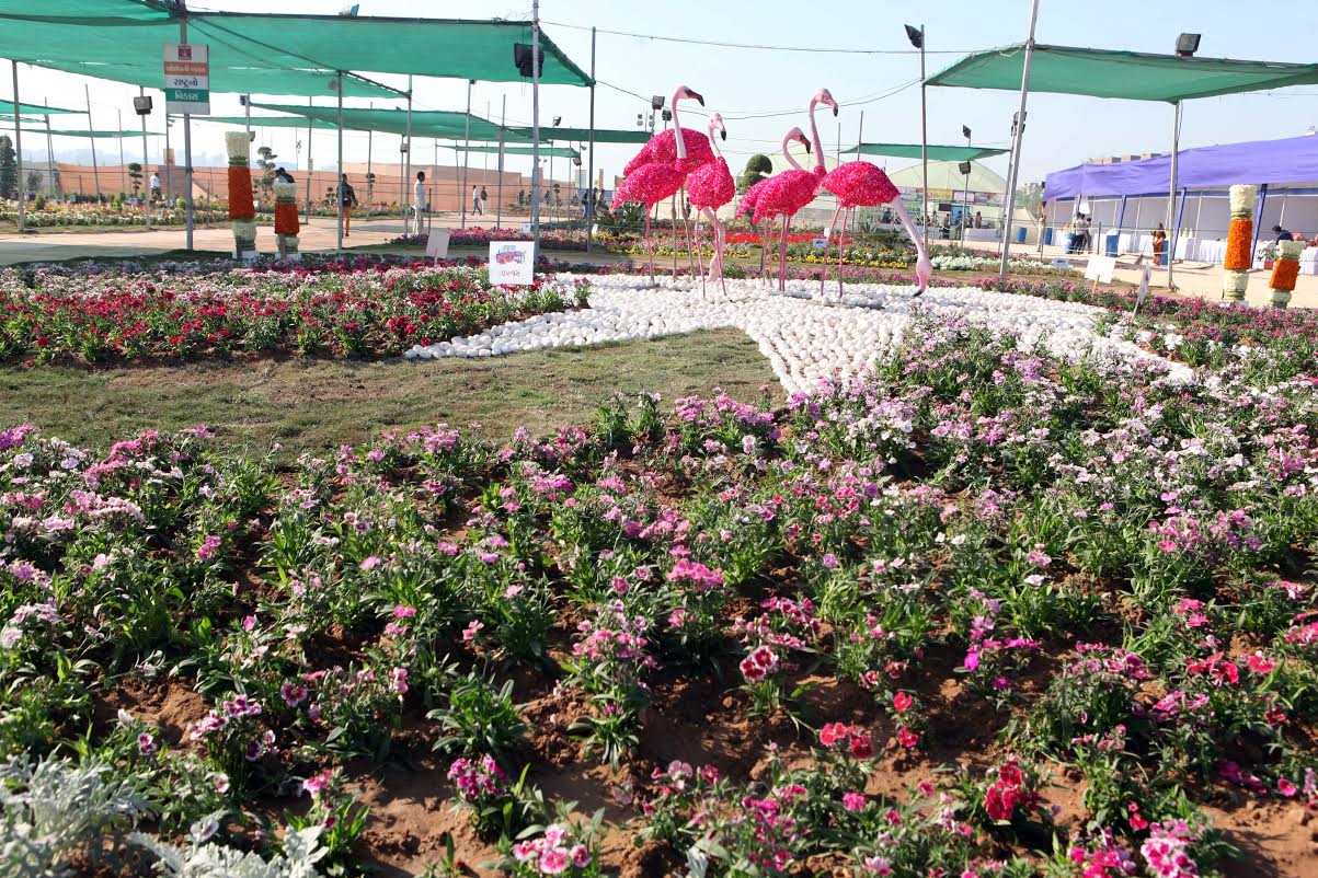 CM opens Flower Show in Ahmedabad (photo) DeshGujarat