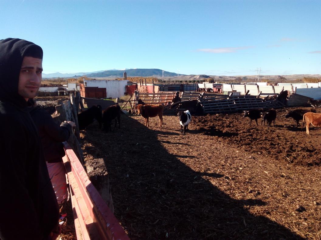 En casa de los hermanos vela!