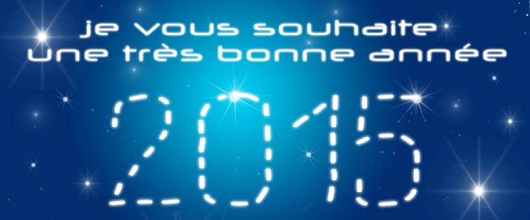 ModelesUniques's tweet image. Bonne année à tous ! #voeux2015