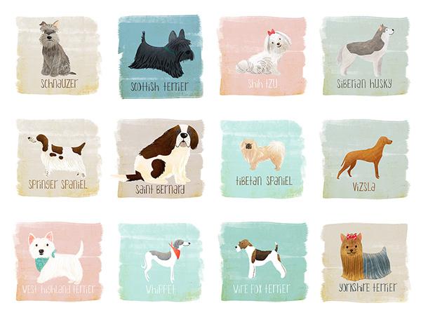 Matt_James_I's tweet photo. Today on @The_Hydrant Blog: 52 Dogs by @StephanieFizer - http://t.co/AX4sbfzLv7
#HydrantCrew http://t.co/OJcRsPIqNF