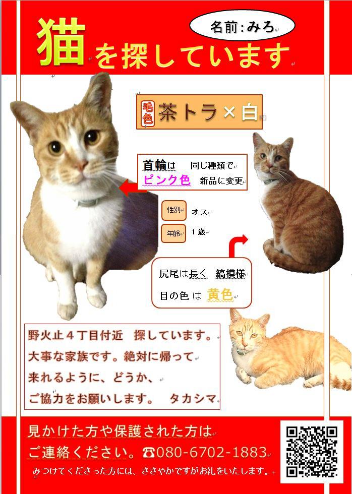 猫 名前 オス 猫 名前 オス