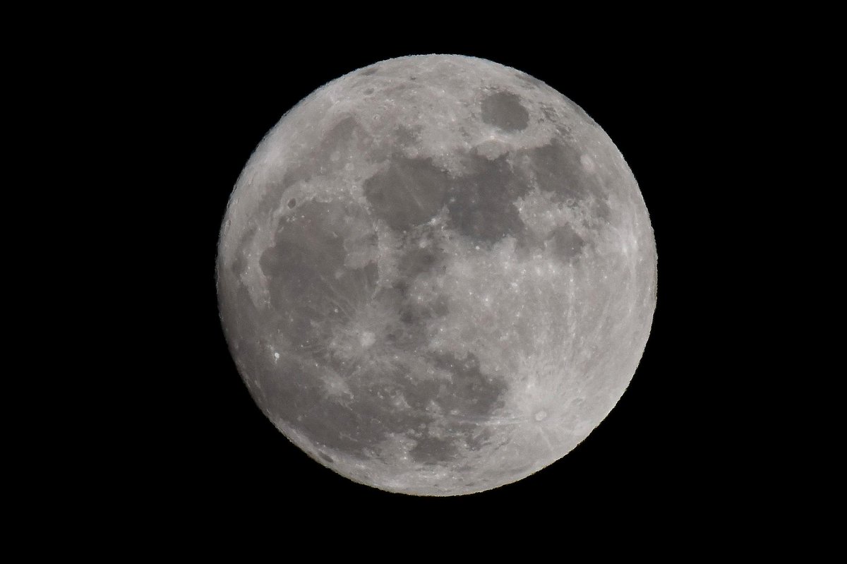 TINO MARTINO tweet media