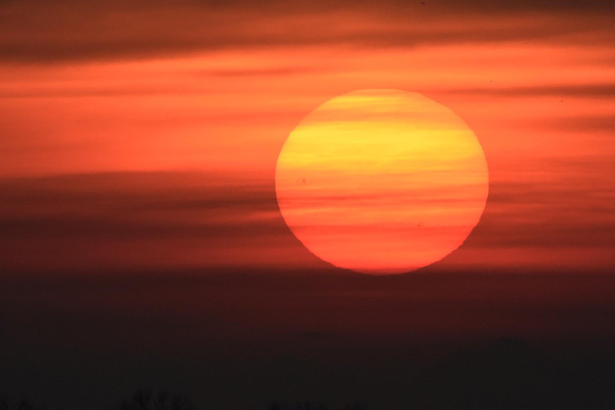 TINO MARTINO tweet media