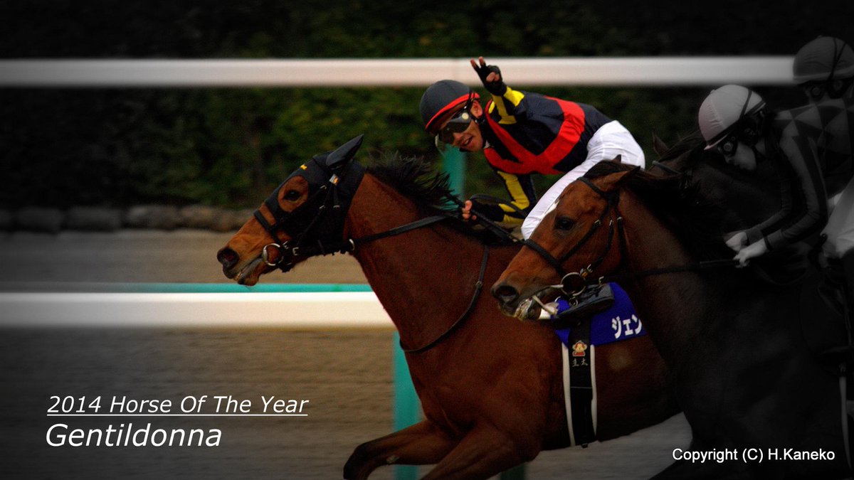 Rino 12月28日有馬記念参戦 No6904jp توییتر