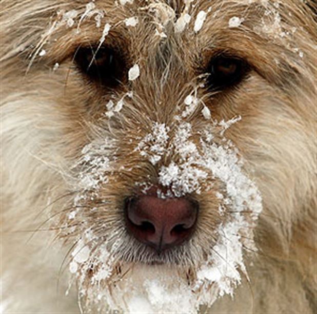 Bizi unutmayın!
#1kapmama