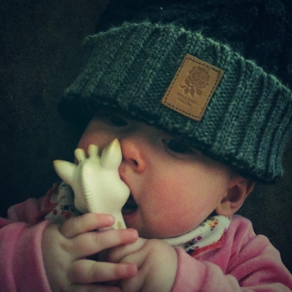BaroqueandRolla's tweet photo. Already an #england #rugby fan! http://t.co/a94RrpCHeC