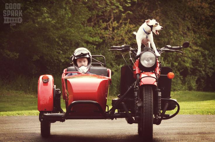 remorquesD's tweet image. Pour les accessoires et pièces remorques , vous trouverez tous ce qu'il vous fat sur : remorques-discount.com/fr/