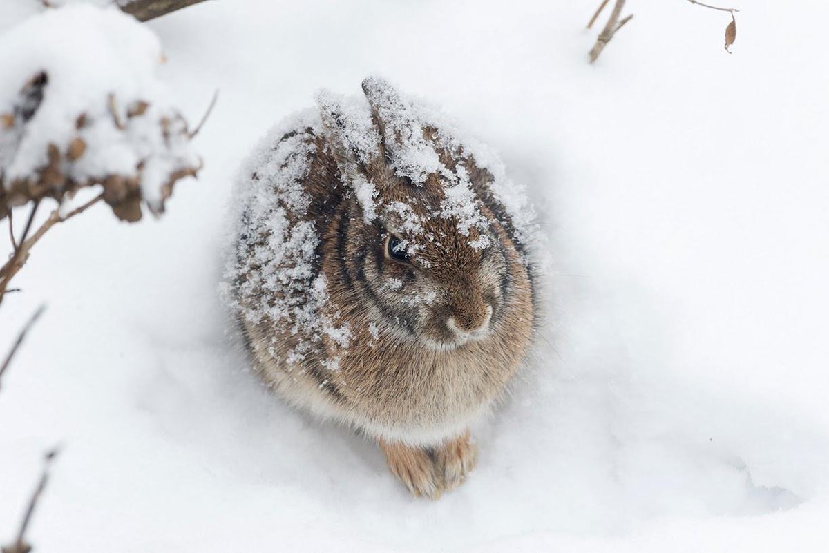 WesternForms's tweet image. En Kansas City tenemos una advertencia de frió extremo #KansasCity 
#Invierno #Westernforms