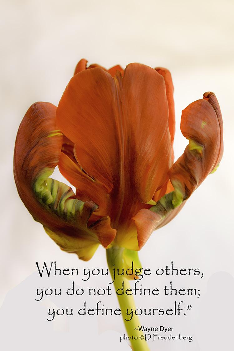 DFDart's tweet image. 