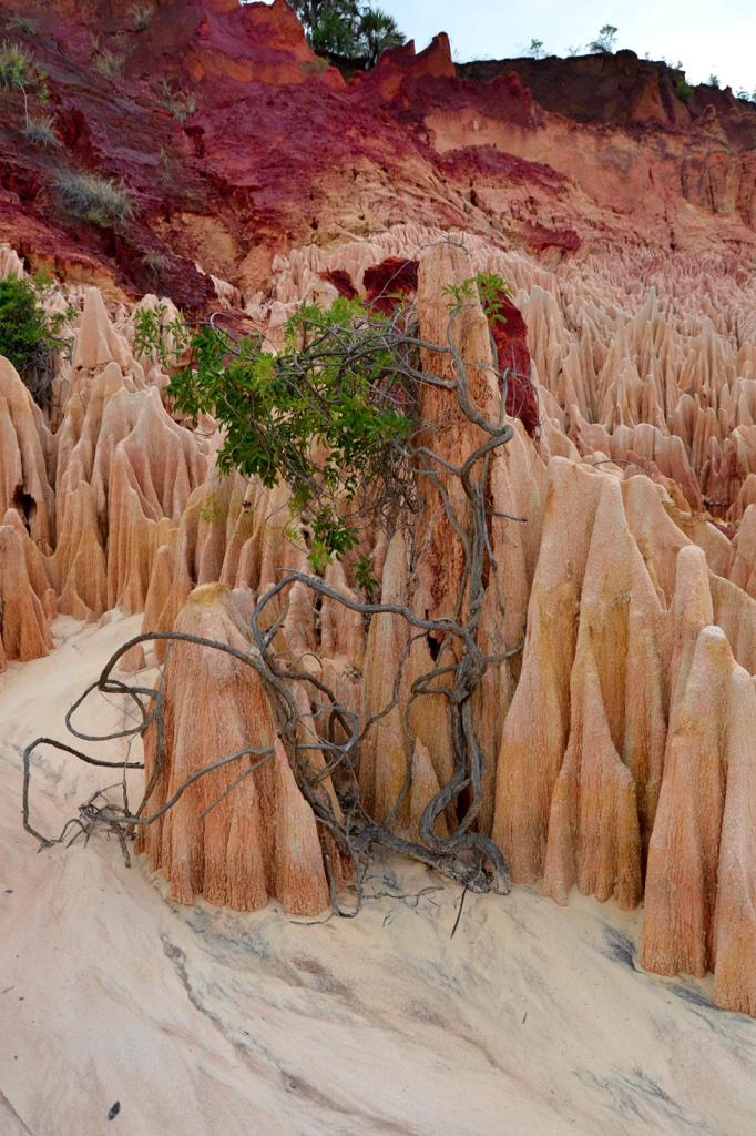 Flavyous's tweet photo. Diego-Suarez | Tsingy rouge | Madagascar http://t.co/7N85yvZ3UM